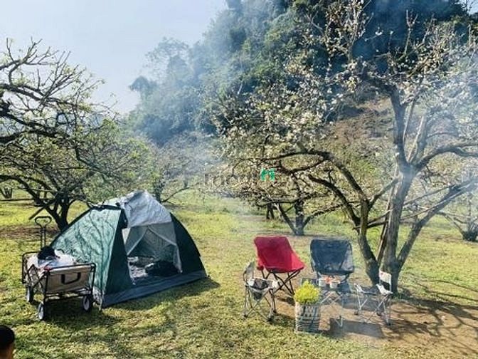 Hình ảnh Bán mảnh đất và vườn,có Tổng diện tích khoảng 5500m2