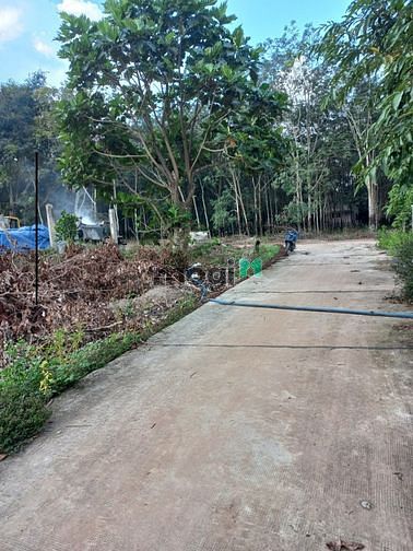 Hình ảnh Đất nền thổ cư đô thị minh hưng hàn quốc giá thấp mua Trang MB66.COM Chính Thức - MB 66 Uy Tín xây trọ