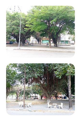 Hình ảnh Cho thuê Trang Chủ MB66.COM / Đăng Ký Tặng 66K 52m2-2PN-2WC chung cư Stown Phúc An, Dĩ An,Bình Dương