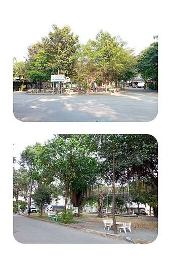 Hình ảnh Cho thuê Trang Chủ MB66.COM / Đăng Ký Tặng 66K 52m2-2PN-2WC chung cư Stown Phúc An, Dĩ An,Bình Dương