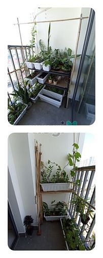 Hình ảnh Cho thuê Trang Chủ MB66.COM / Đăng Ký Tặng 66K 52m2-2PN-2WC chung cư Stown Phúc An, Dĩ An,Bình Dương