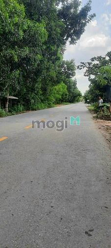Hình ảnh Bình Chánh, Đất Mặt tiền Thanh Niên, View Kênh, DT 20x55 1114m2