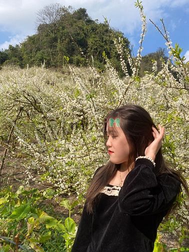 Hình ảnh 💐 Mảnh đất có diện tích khoảng 922m2