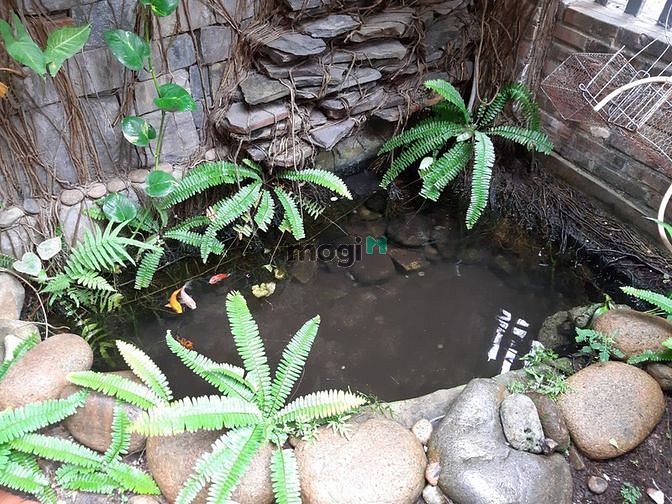 Hình ảnh Nhà cho thuê - Ngô Tất Tố, Quy Nhơn