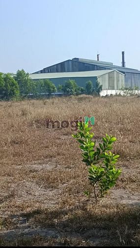 Hình ảnh Địa chỉ: Tân Quan,Hớn Quản Bình Phước