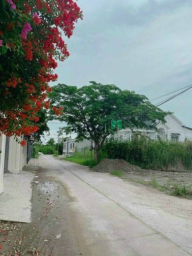 Hình ảnh Bán Biệt Thự Vườn Long Thới Nhà Bè