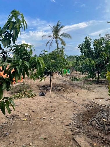 Hình ảnh Bán Biệt Thự Vườn Long Thới Nhà Bè