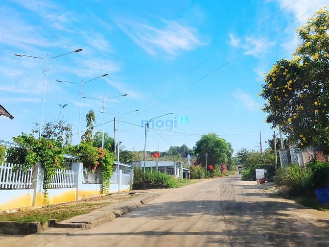 Hình ảnh 1.100m2 đất phủ hồng có sẵn 100m2 thổ cư