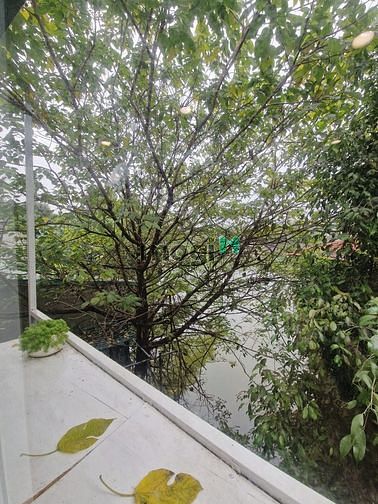Hình ảnh Cho thuê nhà 3 ngủ phố Từ Hoa, Tây Hồ