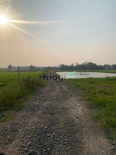 Hình ảnh Bán lô đất lúa 870m2 ở xã đức hòa hạ