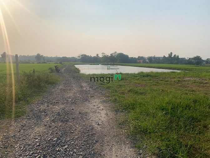 Hình ảnh Bán lô đất lúa 870m2 ở xã đức hòa hạ