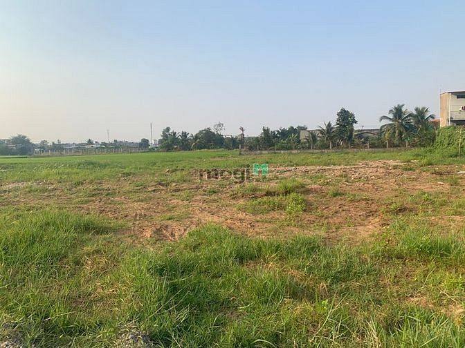 Hình ảnh Bán lô đất lúa 870m2 ở xã đức hòa hạ