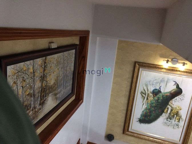 Hình ảnh Nhà phố cho thuê 30tr đường 817 Tạ Quang Bửu, Quận 8