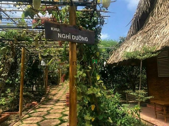 Hình ảnh bán 1000m2 đất shr, trung tâm định quán, chỉ cần 350tr sở hữu được