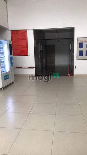 Hình ảnh Cho thuê chung cư cao cấp Sen Hồng 2pn 2wc