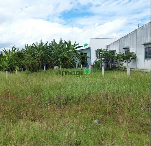 Hình ảnh Bán đất Ấp Cầu Làng, Xã Mỹ Lệ, Huyện Cần Đước, Long An, 10x25m