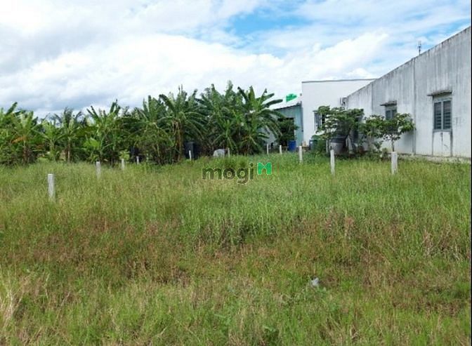 Hình ảnh Bán đất Ấp Cầu Làng, Xã Mỹ Lệ, Huyện Cần Đước, Long An, 10x25m