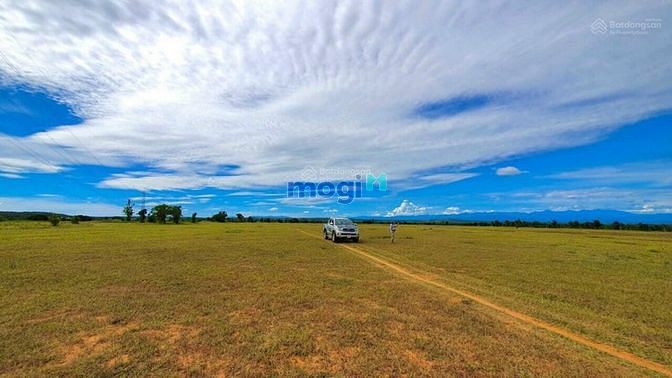 Hình ảnh Bán 11.656m2 đất Hòa Thắng, cách đường 716 chỉ 1km, SHR