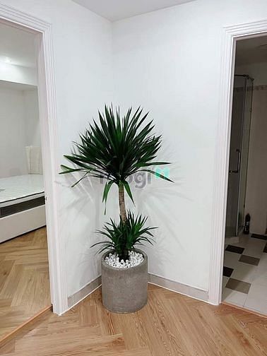 Hình ảnh Bán GẤP CH PHÚC YÊN, Quận Tân Bình. 2PN 2WC. 93m² ĐÃ CÓ SỔ Giá 2tỷ010