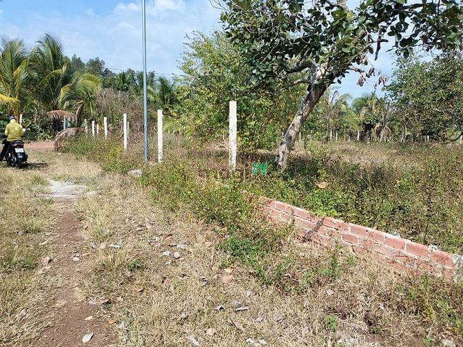 Hình ảnh BÁN GẤP trong tháng để trả nợ, sào đất vườn, SHR, gần 767