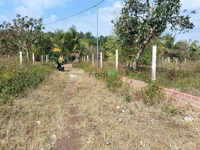 Hình ảnh BÁN GẤP trong tháng để trả nợ, sào đất vườn, SHR, gần 767