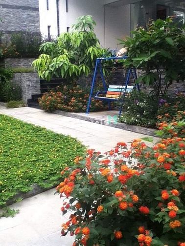 Hình ảnh Cho thuê Biệt thự đẹp 20x25 đường Cộng Hòa, P.13, Q. Tân Bình