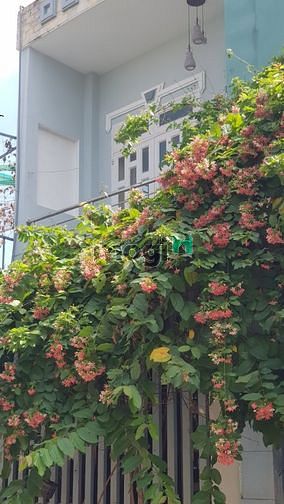 Hình ảnh cho thuê nhà nguyên căn gần chợ búng