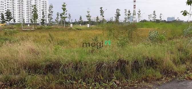 Hình ảnh Khai trương mở bán lô đất mặt tiền Đỗ Xuân Hợp, quận 2. Dt 85m2. SHR.