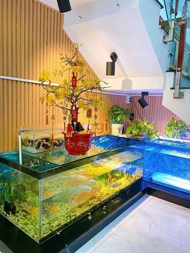 Hình ảnh HXH 8M- CĐ Điện Lực- NGANG 5M-- 4 TẦNG- khu phân lô- 5 TỶ 1
