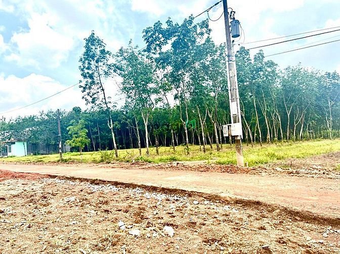Hình ảnh Bán gấp trong tuần (đến 25/2): Xã Tân Lợi, Đồng Phú Bình Phước