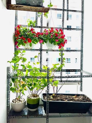 Hình ảnh Bán Trang Chủ MB66.COM / Đăng Ký Tặng 66K TARA RESIDENCE Quận 8 giá 1,55tỷ 73m2 2PN