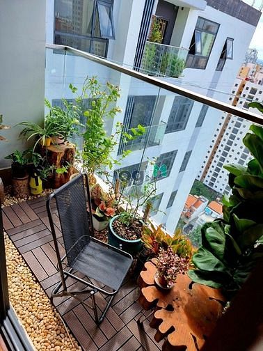 Hình ảnh cho thuê Trang Chủ MB66.COM / Đăng Ký Tặng 66K chung cư Q2, 2pn, full, 15,5tr, De  Capella