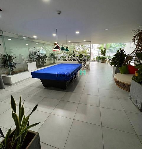 Hình ảnh 🧨🧨Căn Hộ Penthouse & Studio, Phan Đăng Lưu, Bình Thạnh