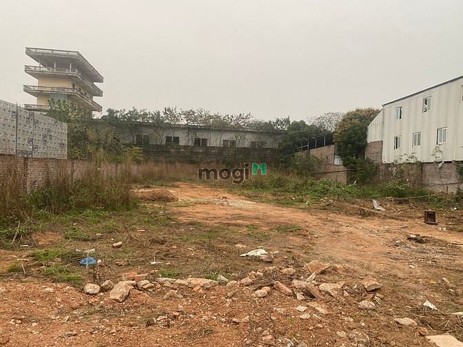 Hình ảnh cần cho thuê lô đất siêu đẹp, trung tâm thành phố.
