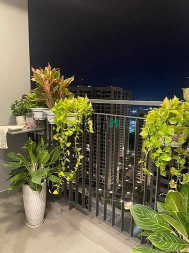 Hình ảnh Bán Trang Chủ MB66.COM / Đăng Ký Tặng 66K VINHOMES GRANDPARK Q9 1,75tỷ 56,5m2 2PN