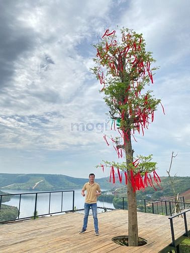 Hình ảnh Đất dành cho đại gia xả stress