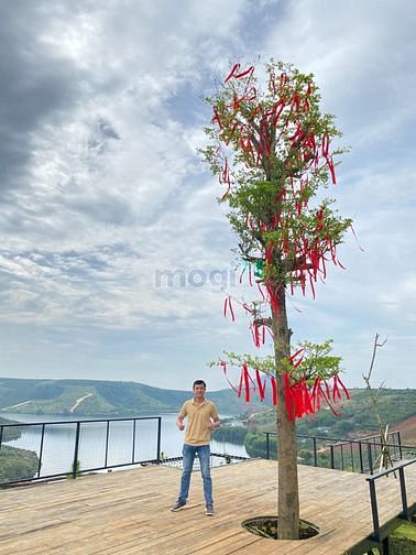 Hình ảnh Đất dành cho đại gia xả stress