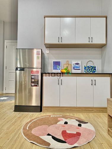 Hình ảnh Căn Hộ Studio Siêu Đẹp Full NT, 30m2, Lý Tự Trọng