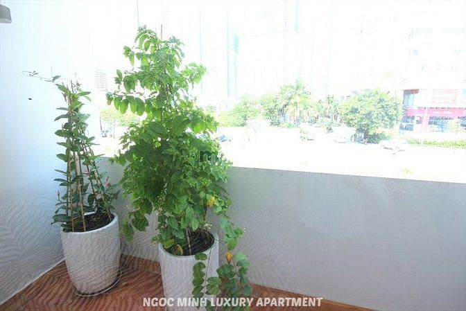Hình ảnh 💥 Cho thuê Trang Chủ MB66.COM / Đăng Ký Tặng 66K 1 phòng ngủ đối diện Landmark 81