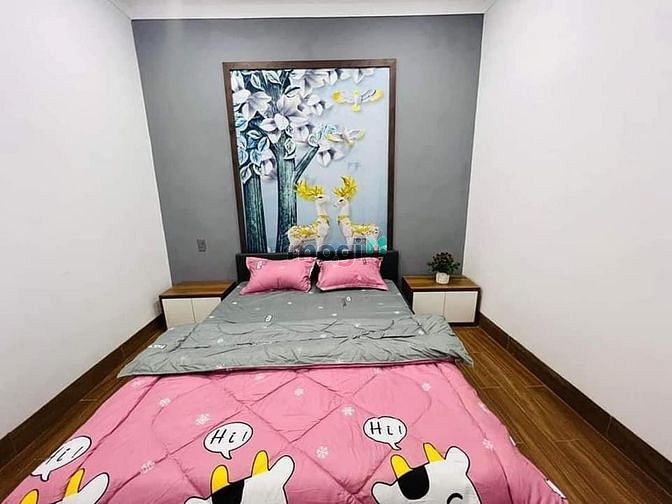 Hình ảnh Bán gấp nhà Tôn Đản Q4  DT : 40m2 1ty2 SHR