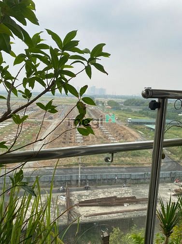 Hình ảnh Cho Thuê Trang Chủ MB66.COM Chính Thức Flora Anh Đào 2PN