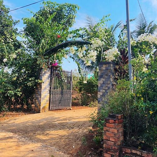 Hình ảnh Ngộp Giảm Mạnh 700tr trong 7 ngày: miếng 1.100m2 có 100m2 thổ cư