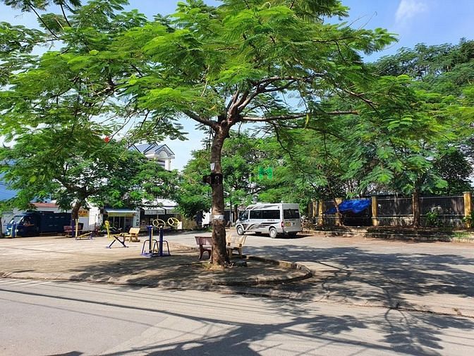 Hình ảnh Đất đẹp, giá rẻ nhất Linh Xuân, 62m2, ngay Chợ, chỉ 2 tỷ
