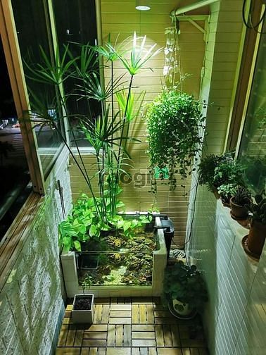 Hình ảnh Bán GẤP CH Bàu Cát 2 Tân Bình 1T375TR 50m2 2PN
