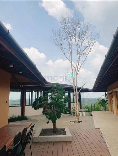 Hình ảnh Đất nền nghỉ dưỡng ngay trung tâm TP Bảo Lộc