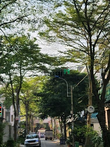 Hình ảnh Bán đất nền nhà phố Q8 thuận tiện kinh doanh