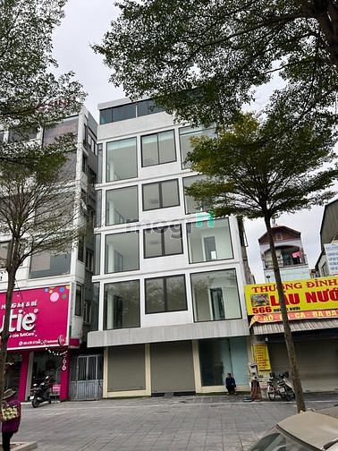 Hình ảnh Cho thuê MBKD phố Hoàng Quốc Việt 473m2