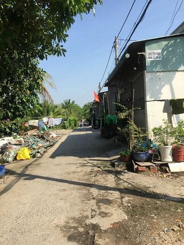 Hình ảnh Cho Thuê Nhà Xưởng Cống hợp Số 2