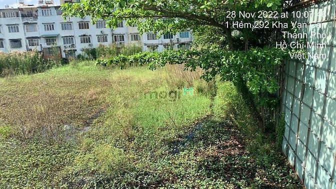 Hình ảnh BDS HUNGVILAND Siêu Đẹp MTKD Phạm Văn Đồng 68m ngang cho thuê 65k 22/2