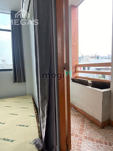 Hình ảnh Khai trương CHDV ngay thạch lam đỗ bí